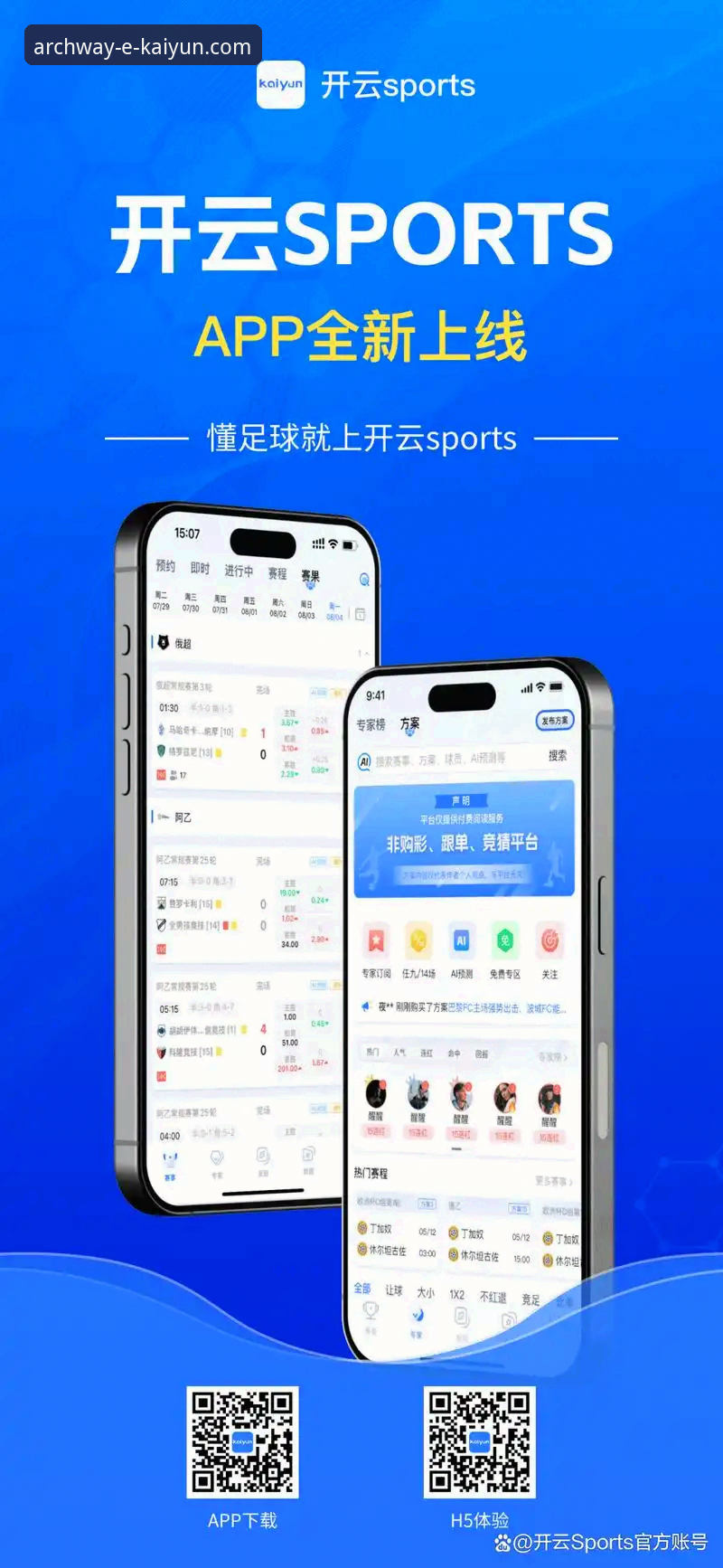 揭秘开云体育平台：官网网址、APP下载与性能深度评测